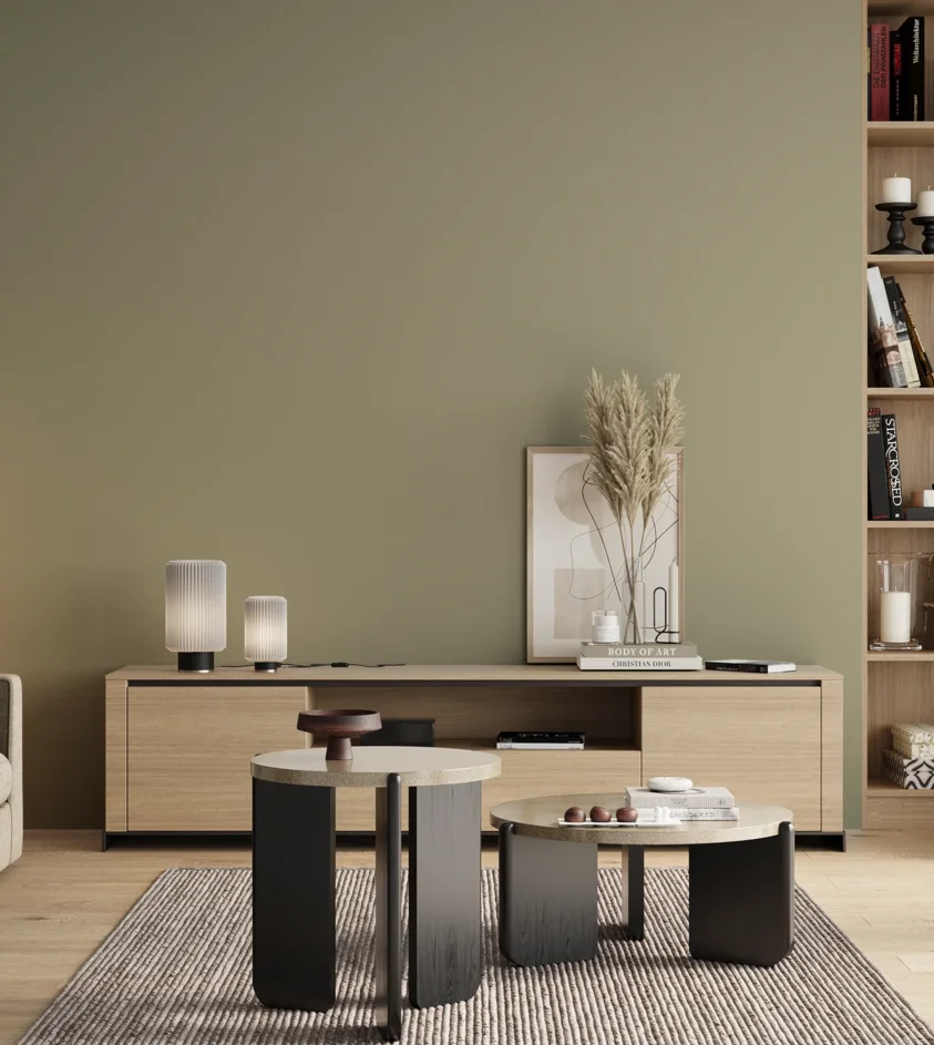 P10_SNIEZKA_salon_00_neutral_GREY_S3010-G70Y