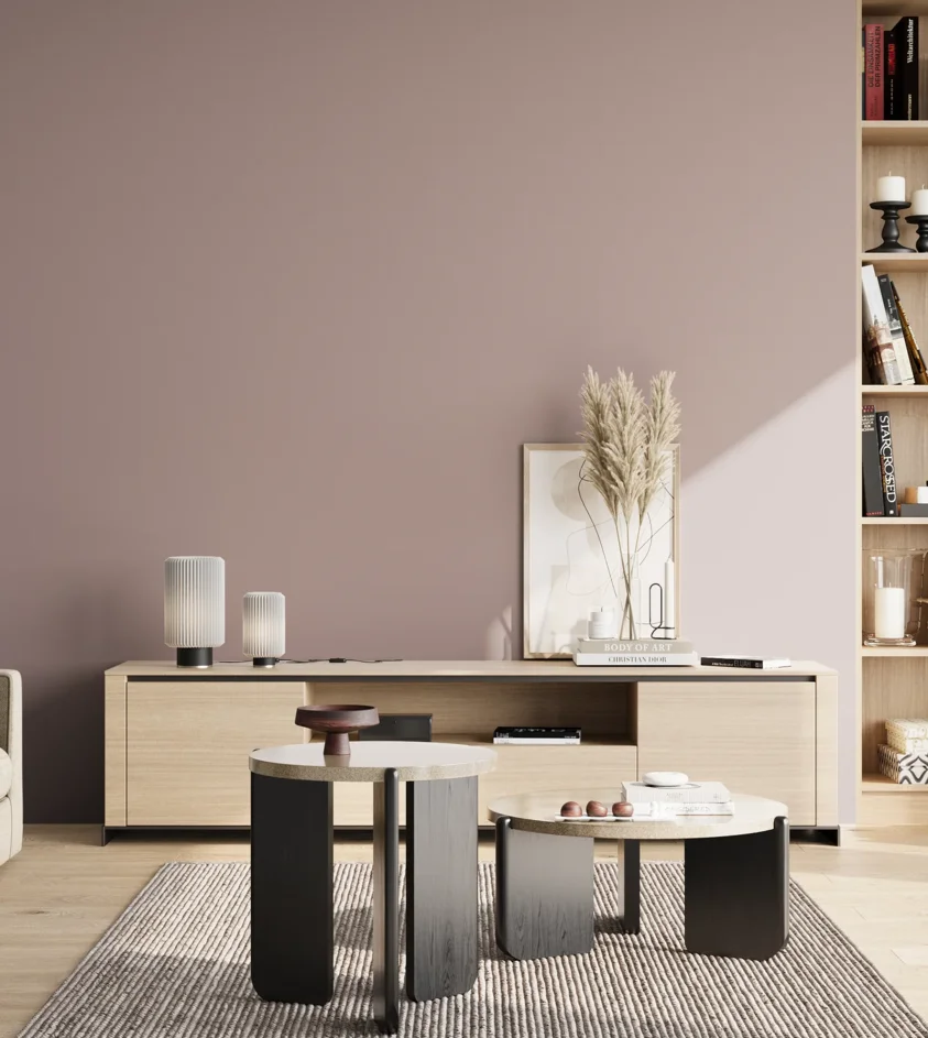 P10_SNIEZKA_salon_02_poludnie_GREY_S3010-R10B