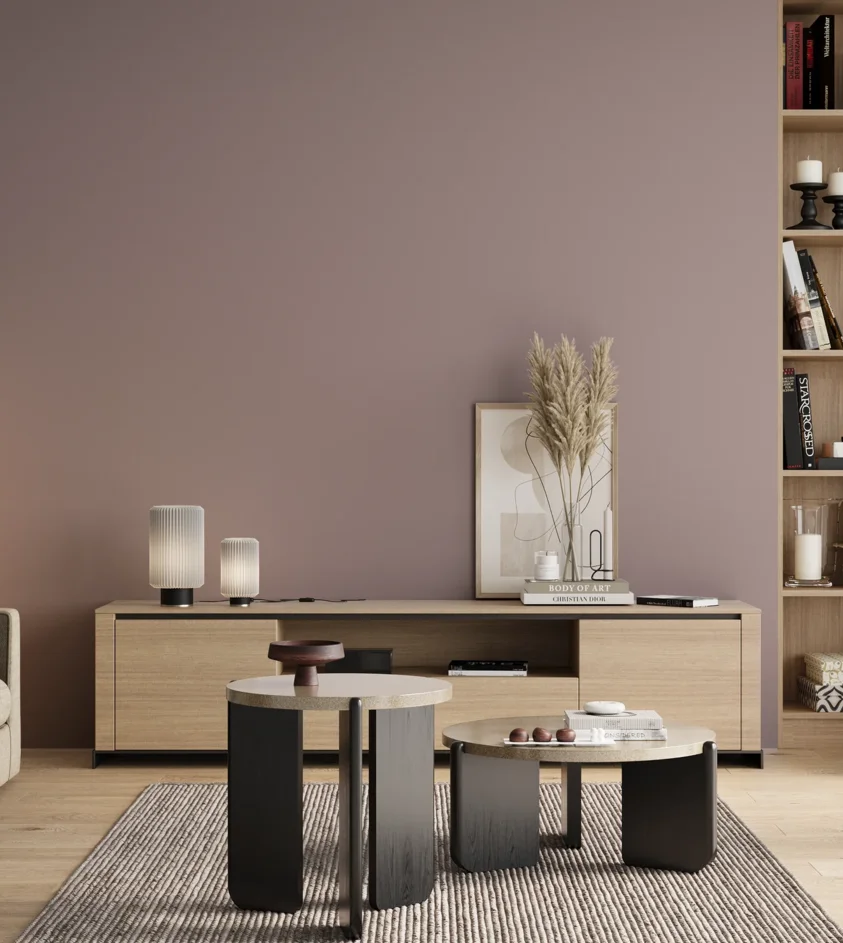 P10_SNIEZKA_salon_00_neutral_GREY_S3010-R20B
