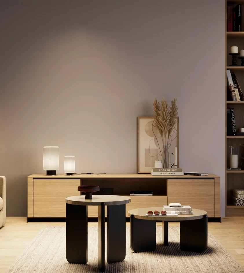 P10_SNIEZKA_salon_04_cieple_GREY_S3010-R40B