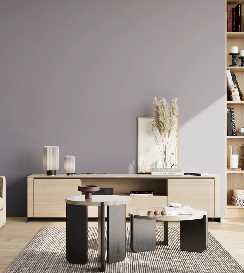 P10_SNIEZKA_salon_02_poludnie_GREY_S3010-R60B