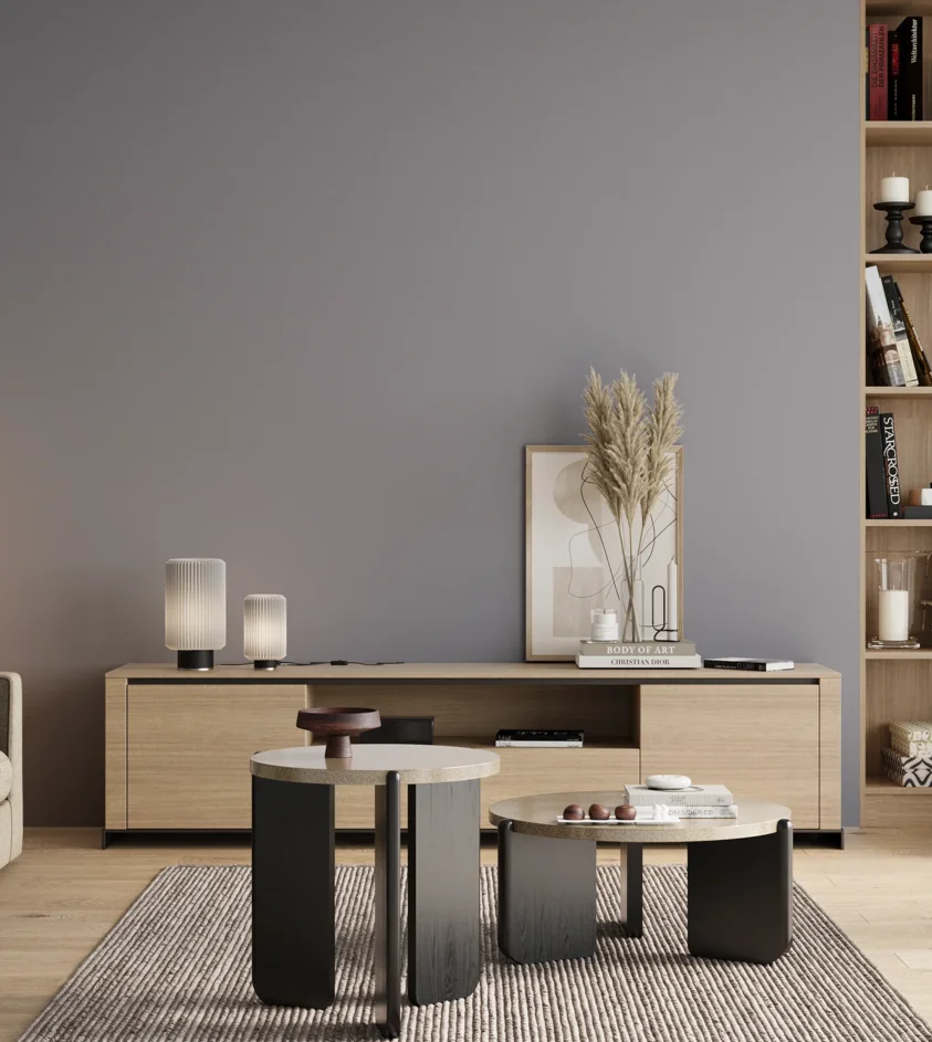 P10_SNIEZKA_salon_00_neutral_GREY_S3010-R70B