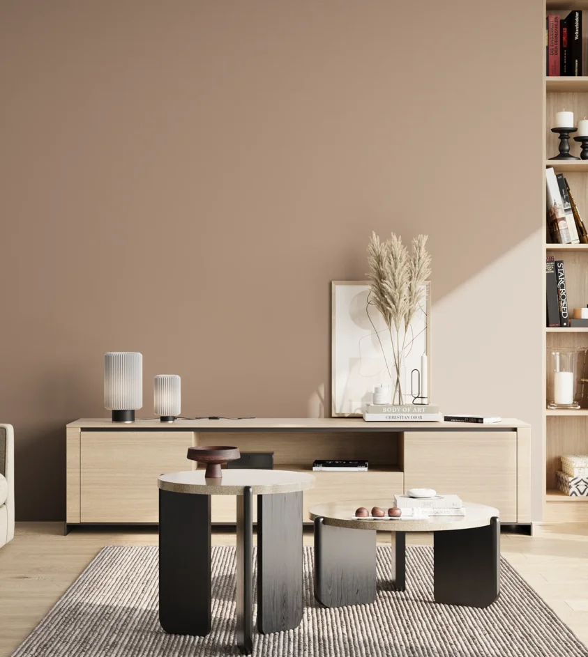 P10_SNIEZKA_salon_02_poludnie_GREY_S3010-Y60R