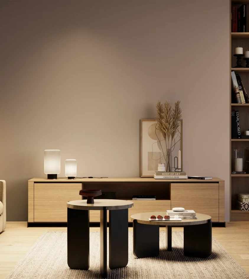 P10_SNIEZKA_salon_04_cieple_GREY_S3010-Y90R