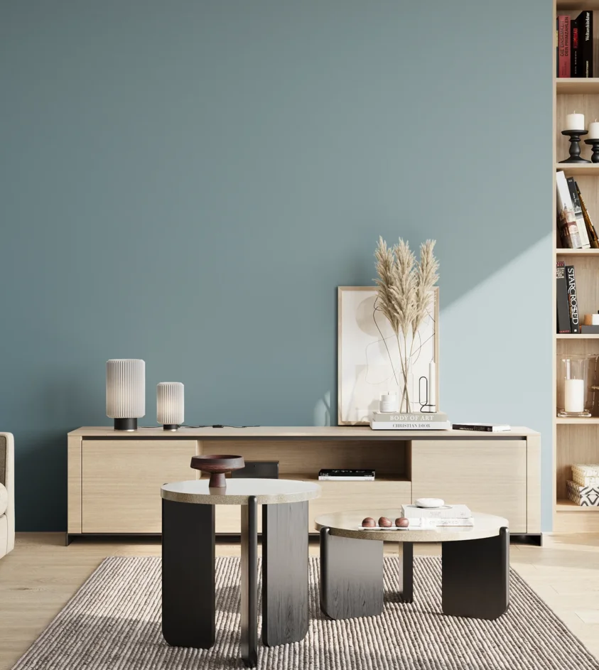 P10_SNIEZKA_salon_02_poludnie_GREY_S3020-B10G