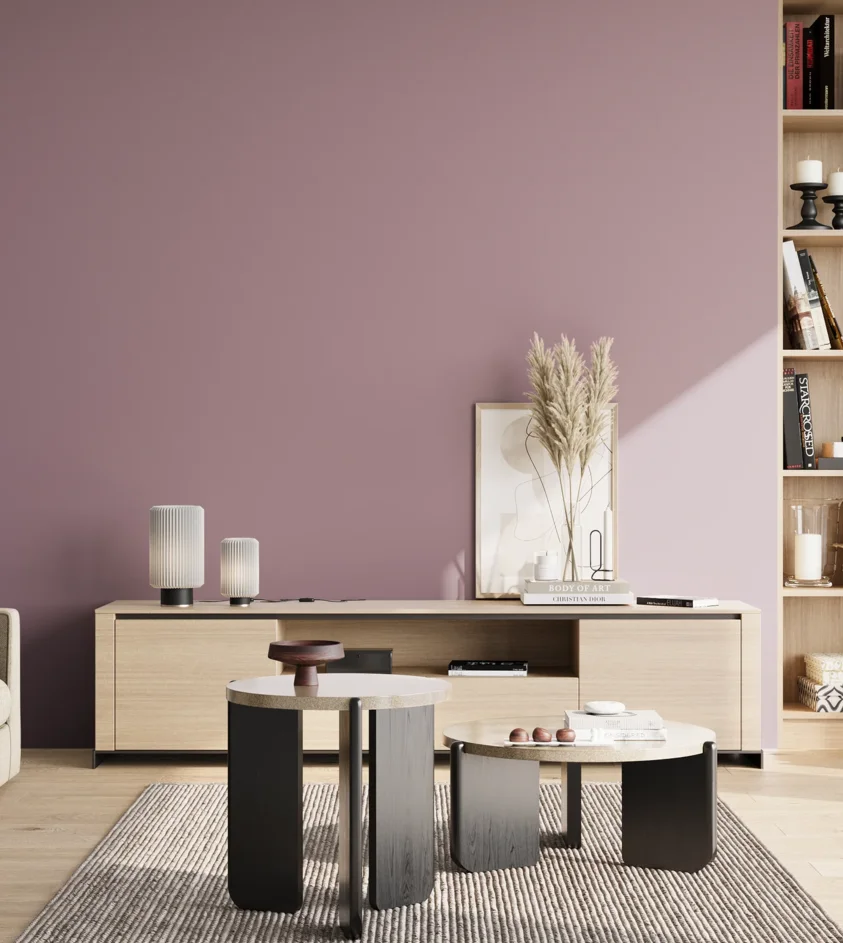 P10_SNIEZKA_salon_02_poludnie_GREY_S3020-R30B
