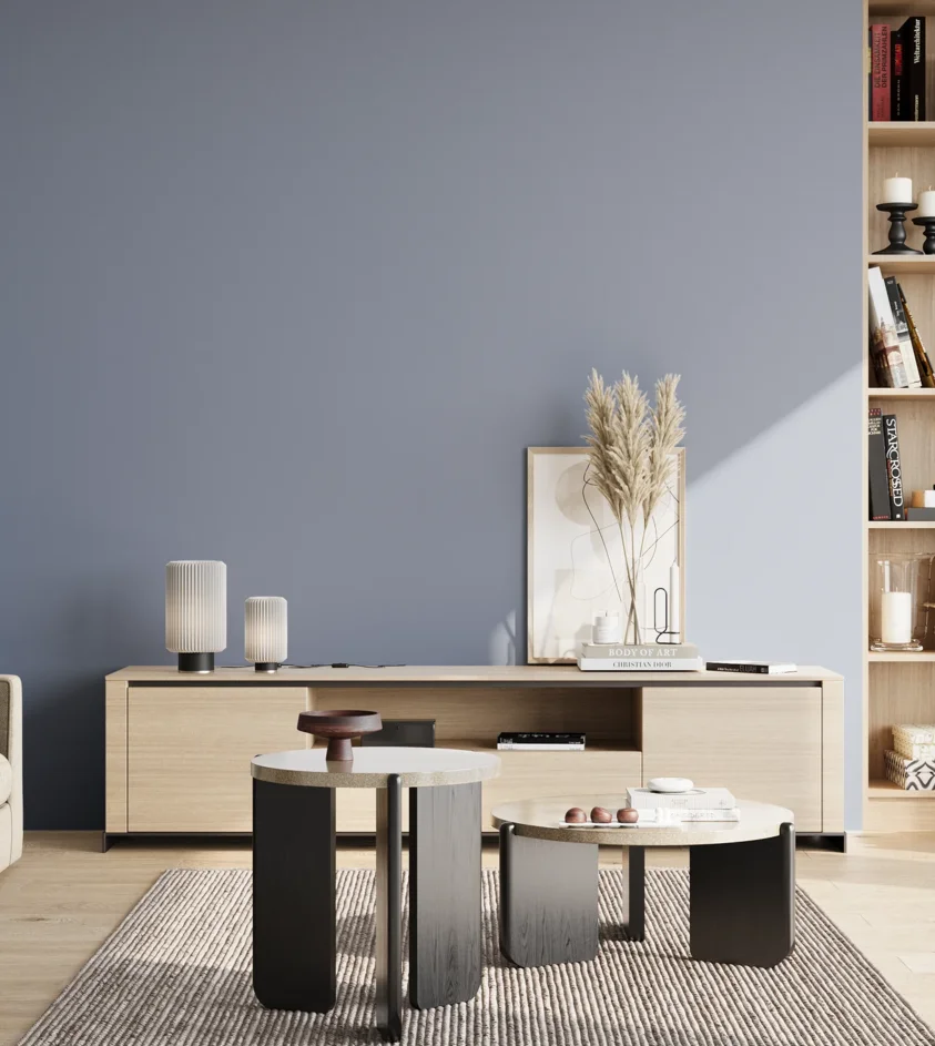 P10_SNIEZKA_salon_02_poludnie_GREY_S3020-R80B