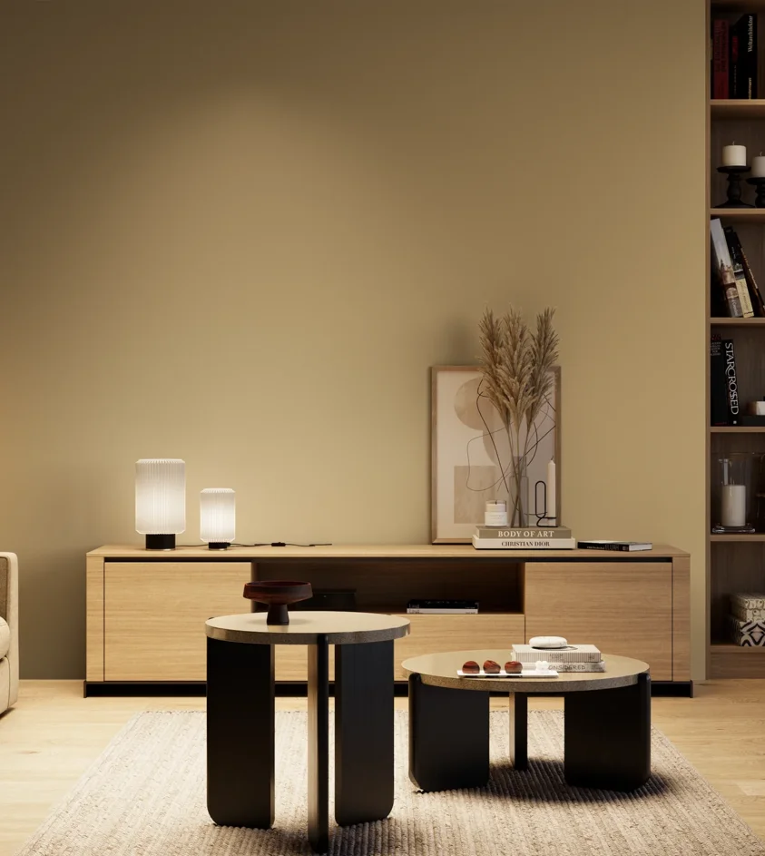 P10_SNIEZKA_salon_04_cieple_GREY_S3020-Y10R
