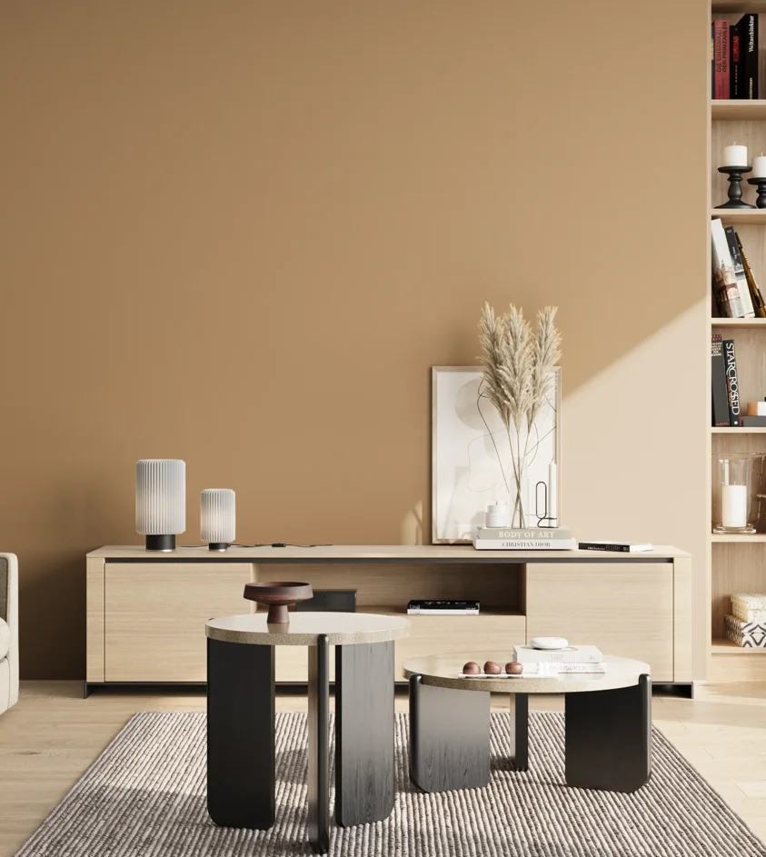 P10_SNIEZKA_salon_02_poludnie_GREY_S3020-Y30R