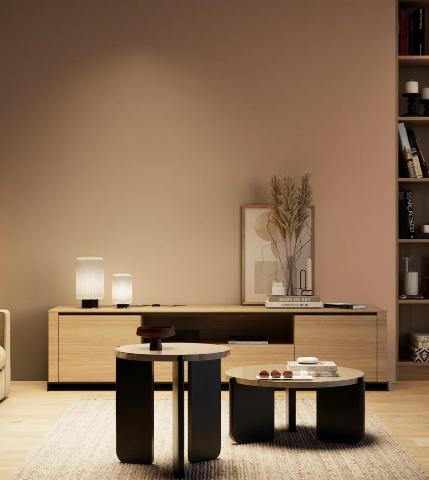 P10_SNIEZKA_salon_04_cieple_GREY_S3020-Y60R