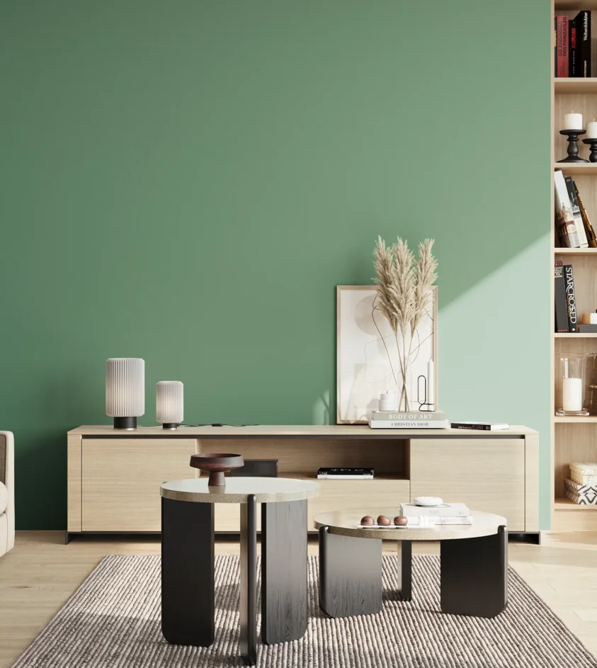 P10_SNIEZKA_salon_02_poludnie_GREY_S3030-G