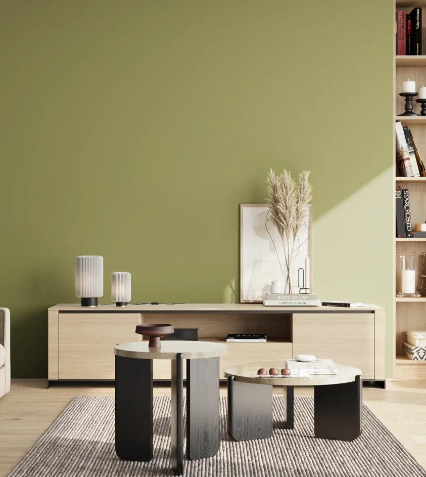 P10_SNIEZKA_salon_02_poludnie_GREY_S3030-G60Y