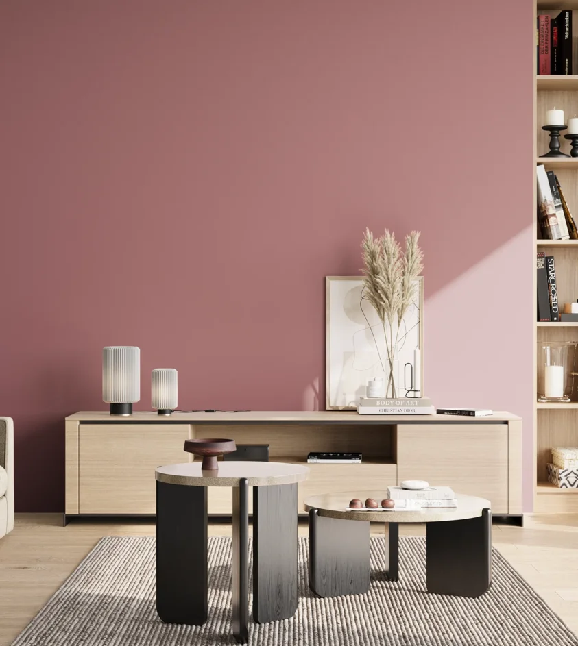 P10_SNIEZKA_salon_02_poludnie_GREY_S3030-R10B