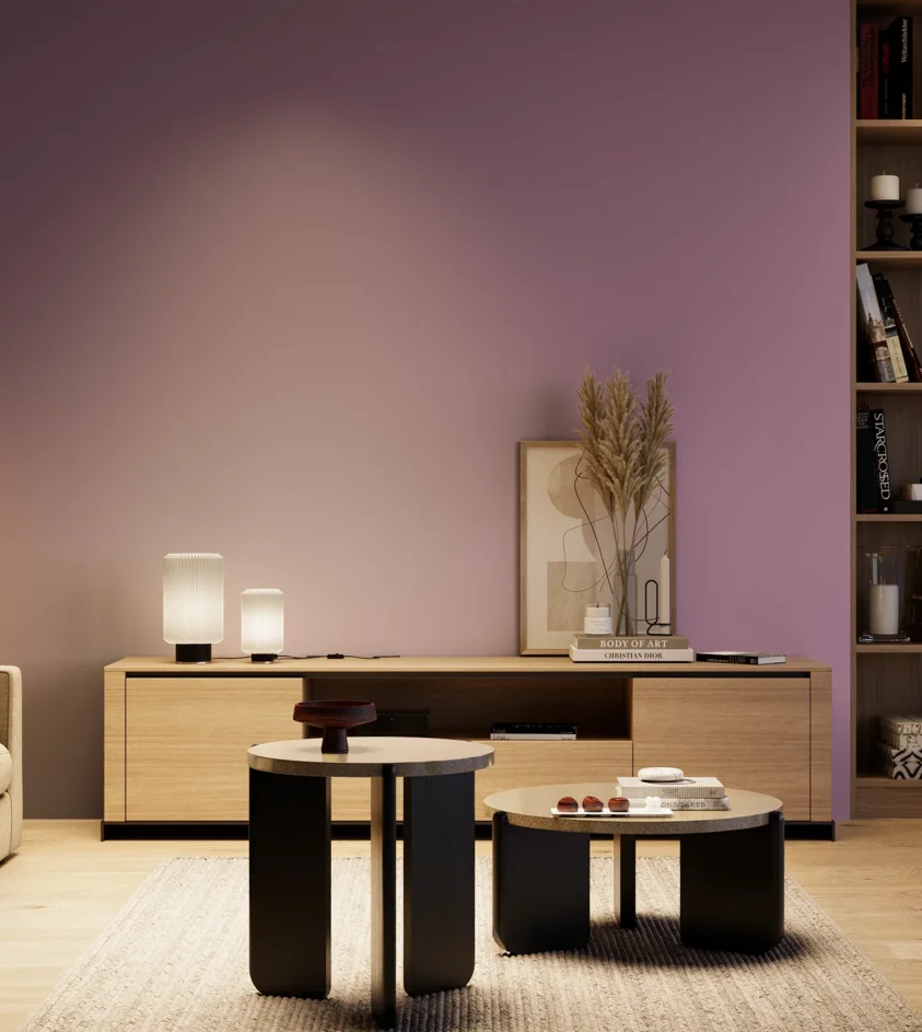 P10_SNIEZKA_salon_04_cieple_GREY_S3030-R40B