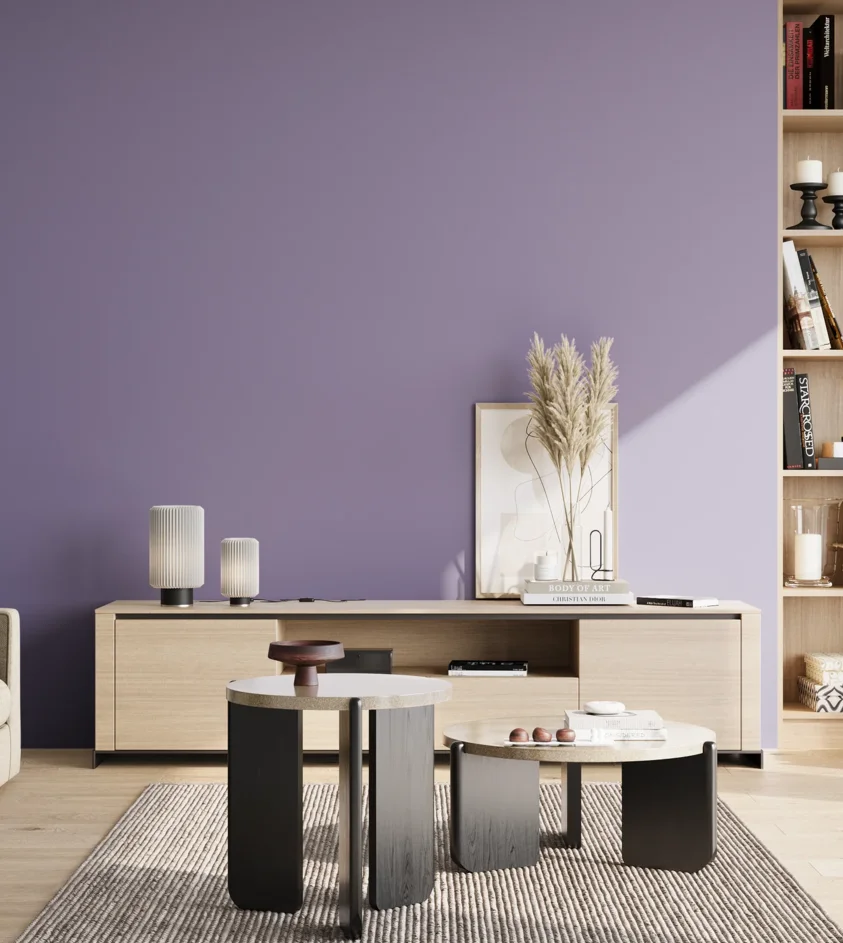 P10_SNIEZKA_salon_02_poludnie_GREY_S3030-R60B