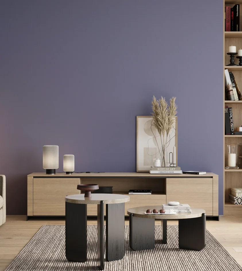 P10_SNIEZKA_salon_00_neutral_GREY_S3030-R70B