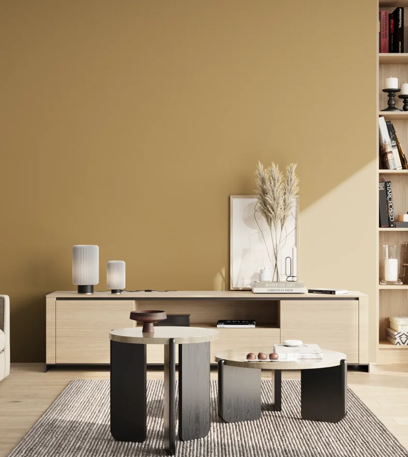 P10_SNIEZKA_salon_02_poludnie_GREY_S3030-Y10R