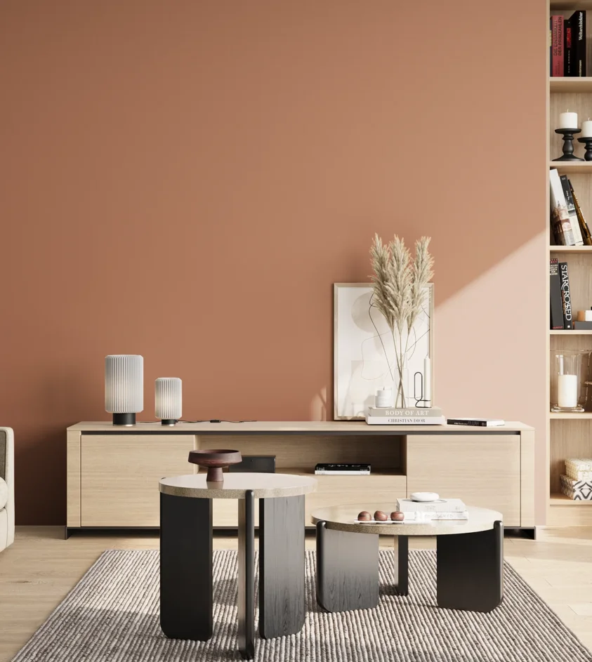 P10_SNIEZKA_salon_02_poludnie_GREY_S3030-Y60R
