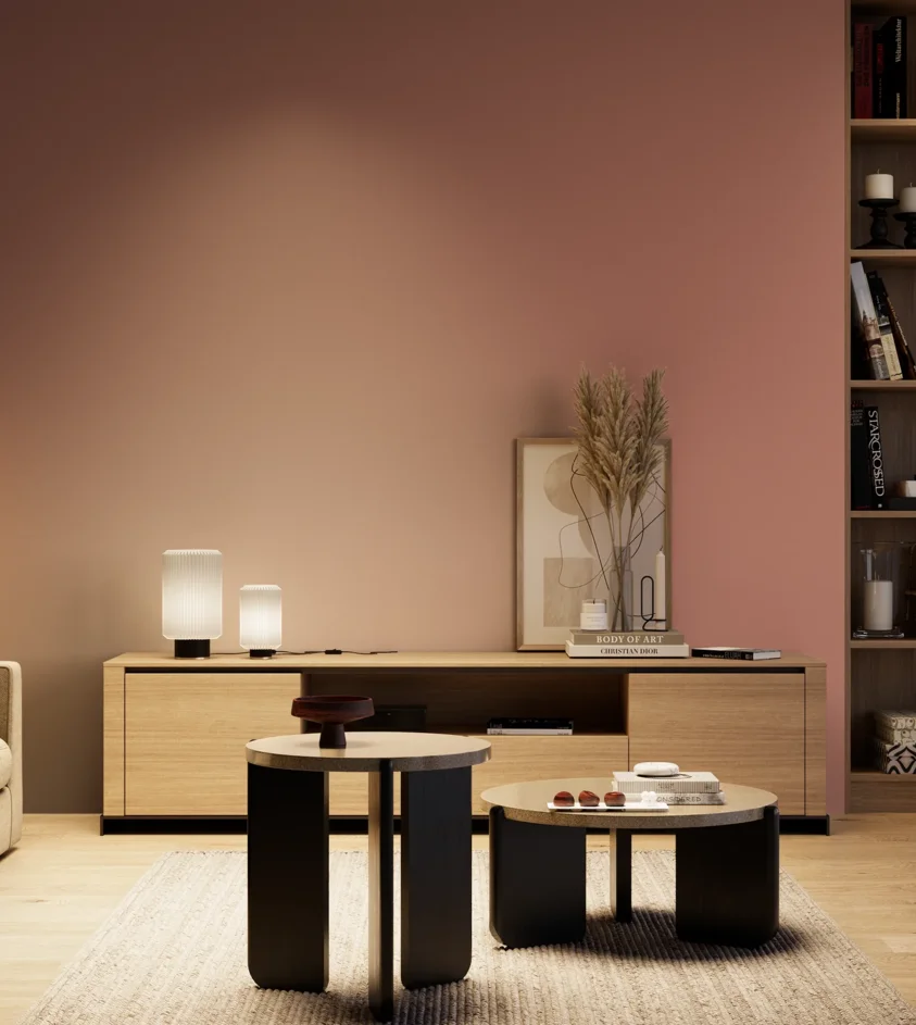 P10_SNIEZKA_salon_04_cieple_GREY_S3030-Y90R