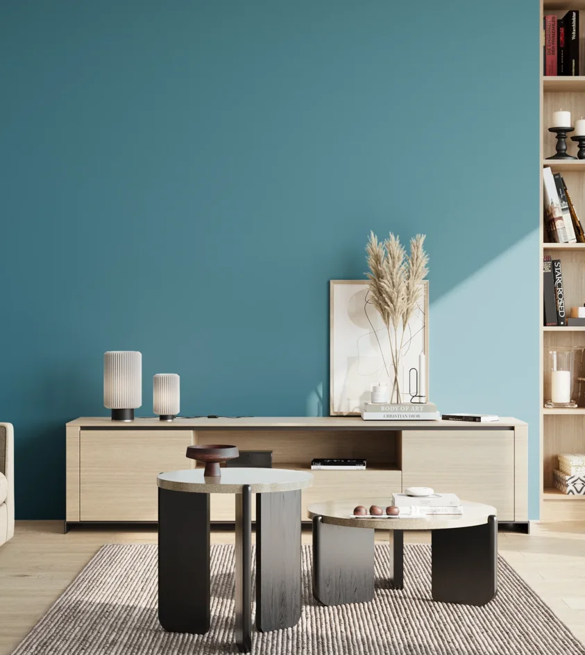 P10_SNIEZKA_salon_02_poludnie_GREY_S3040-B10G