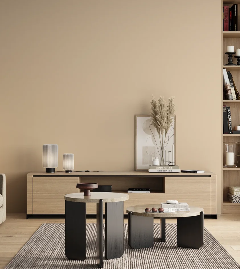 P10_SNIEZKA_salon_00_neutral_GREY_MP21