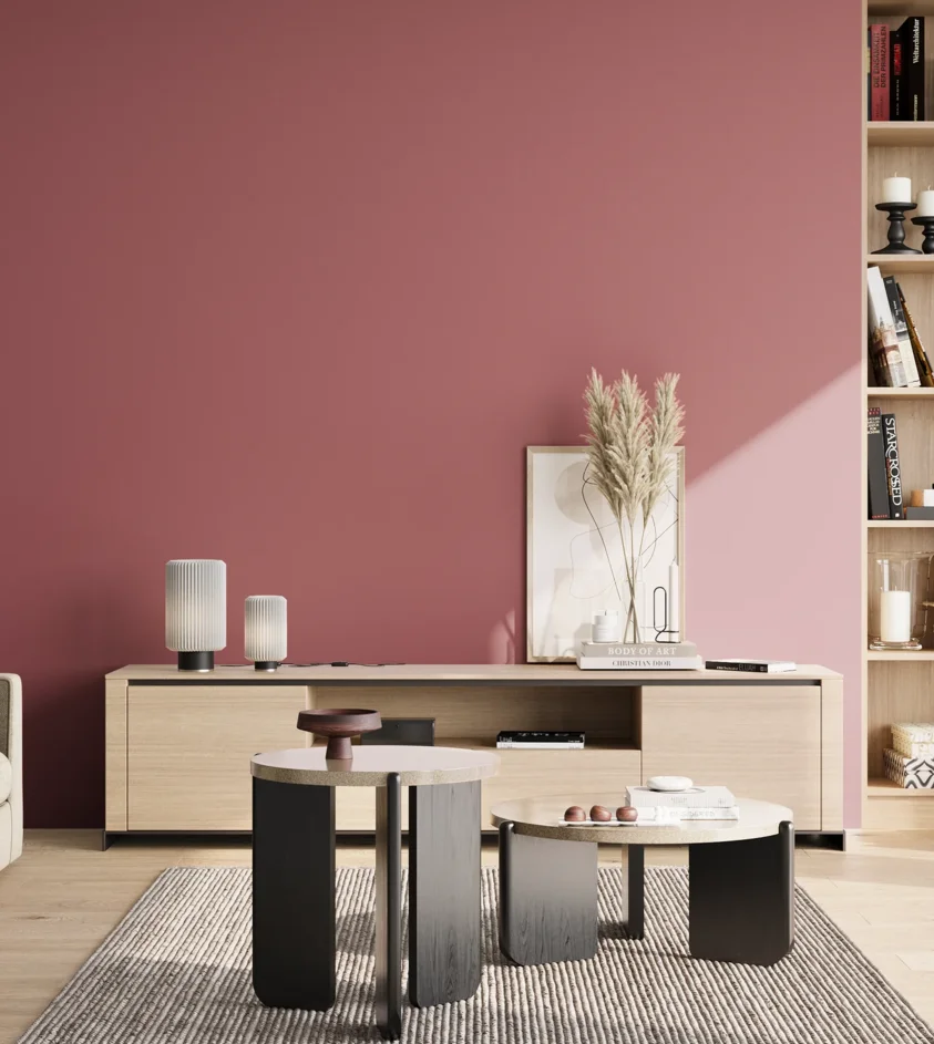 P10_SNIEZKA_salon_02_poludnie_GREY_S3040-R10B