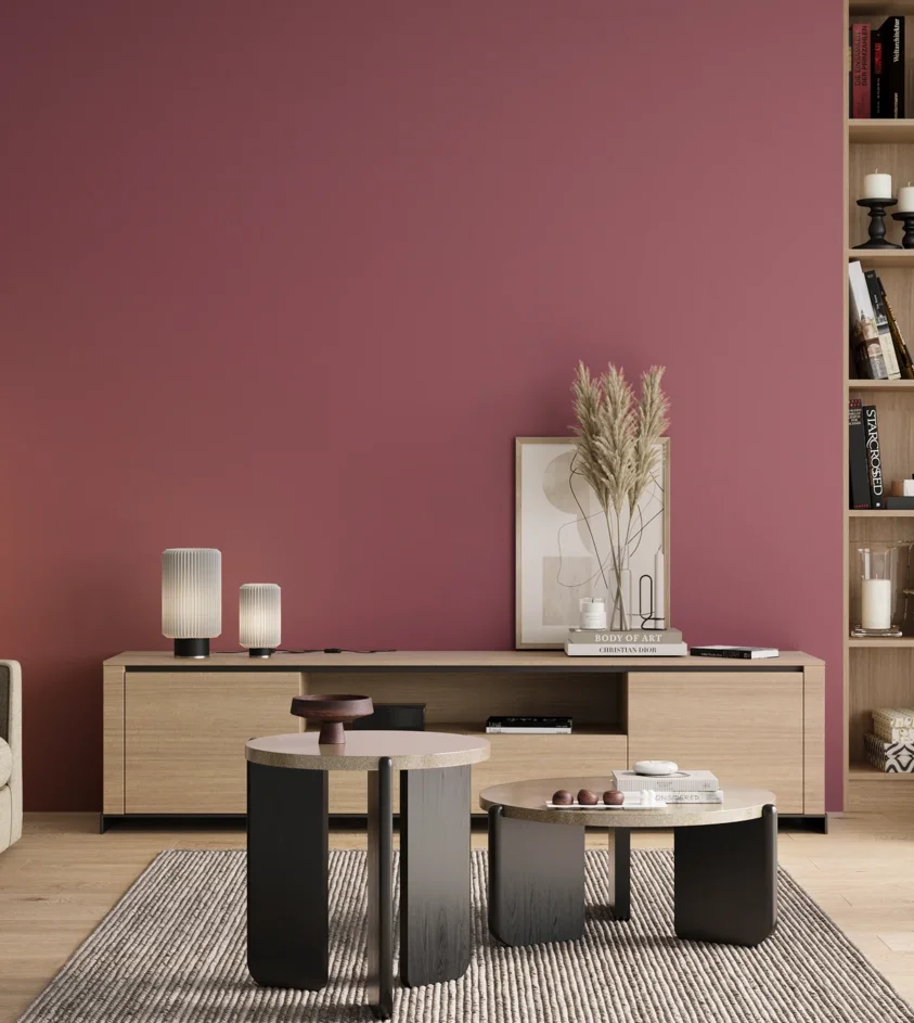 P10_SNIEZKA_salon_00_neutral_GREY_S3040-R20B