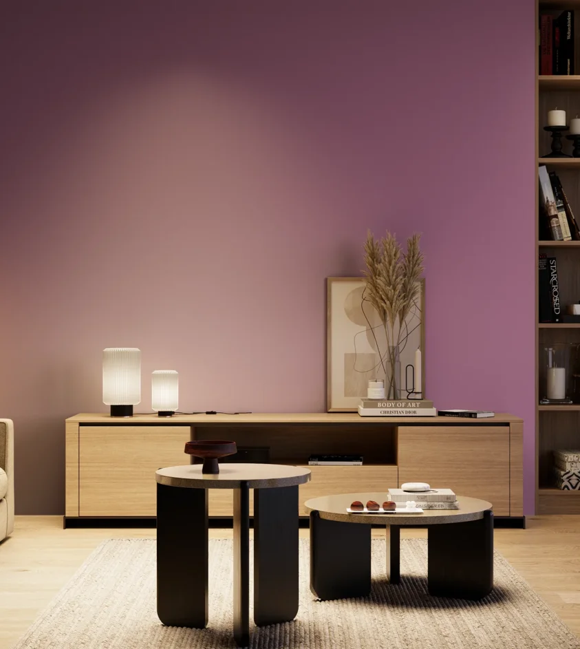 P10_SNIEZKA_salon_04_cieple_GREY_S3040-R40B