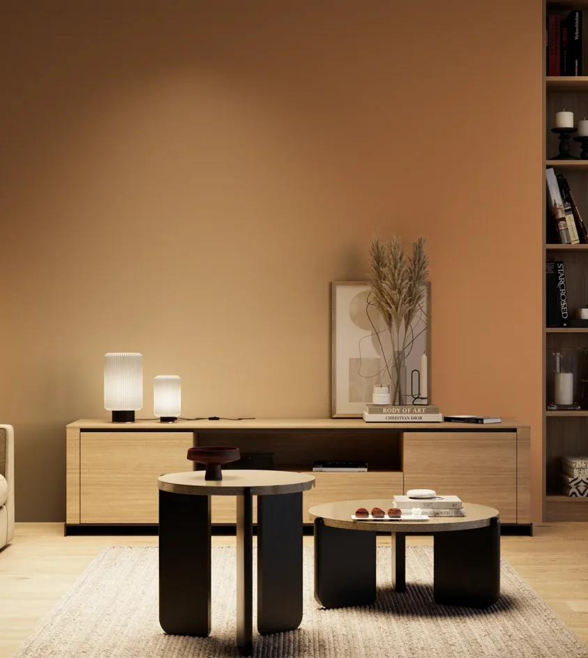 P10_SNIEZKA_salon_04_cieple_GREY_S3040-Y40R