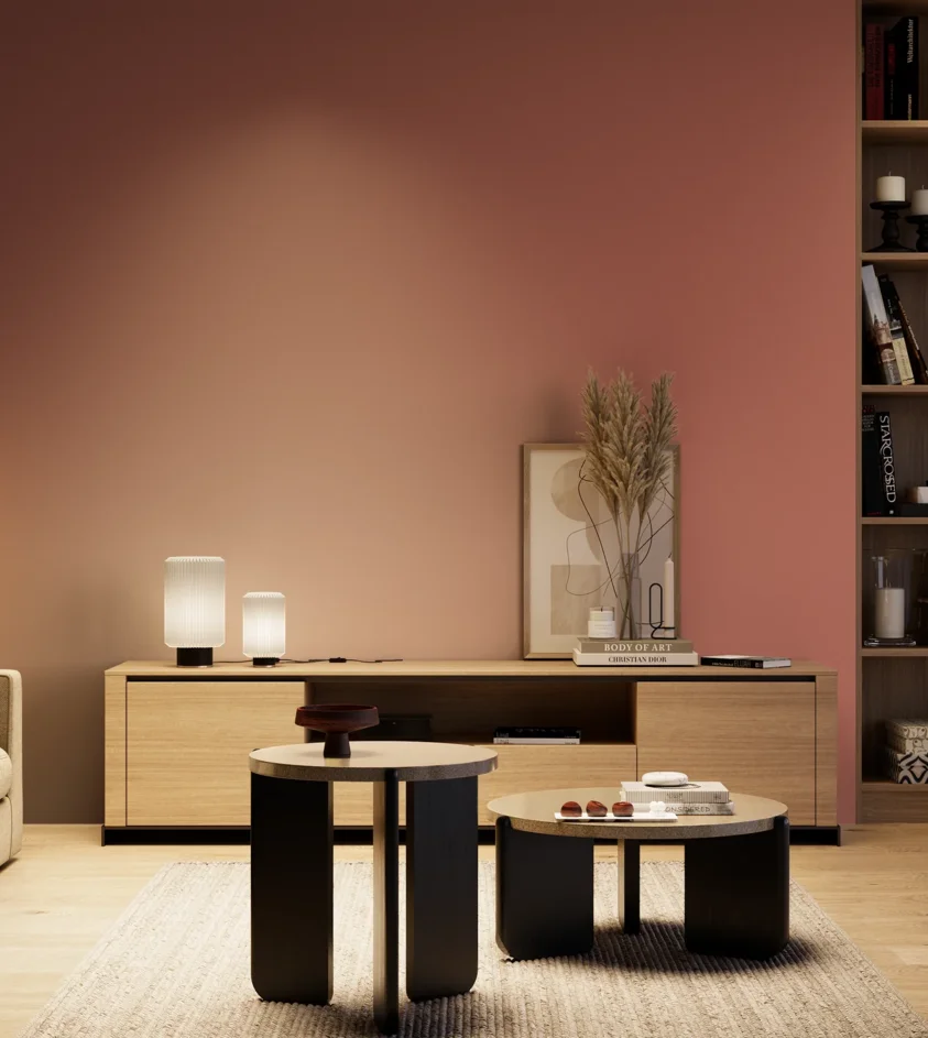 P10_SNIEZKA_salon_04_cieple_GREY_S3040-Y90R