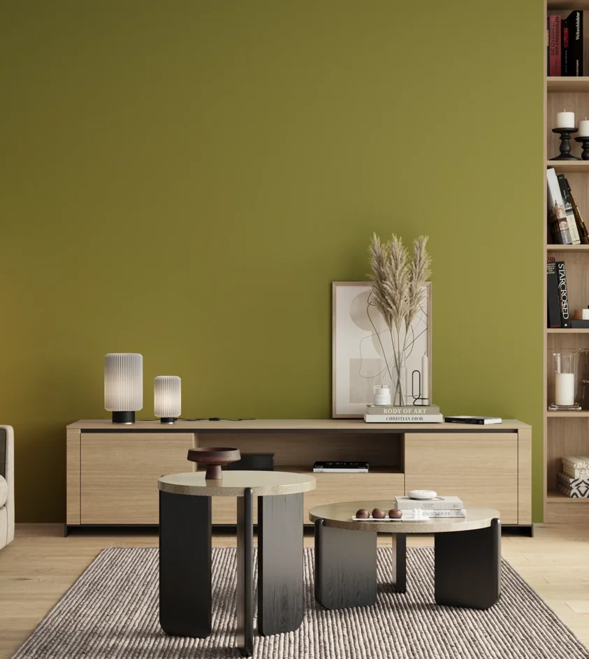 P10_SNIEZKA_salon_00_neutral_GREY_S3050-G70Y