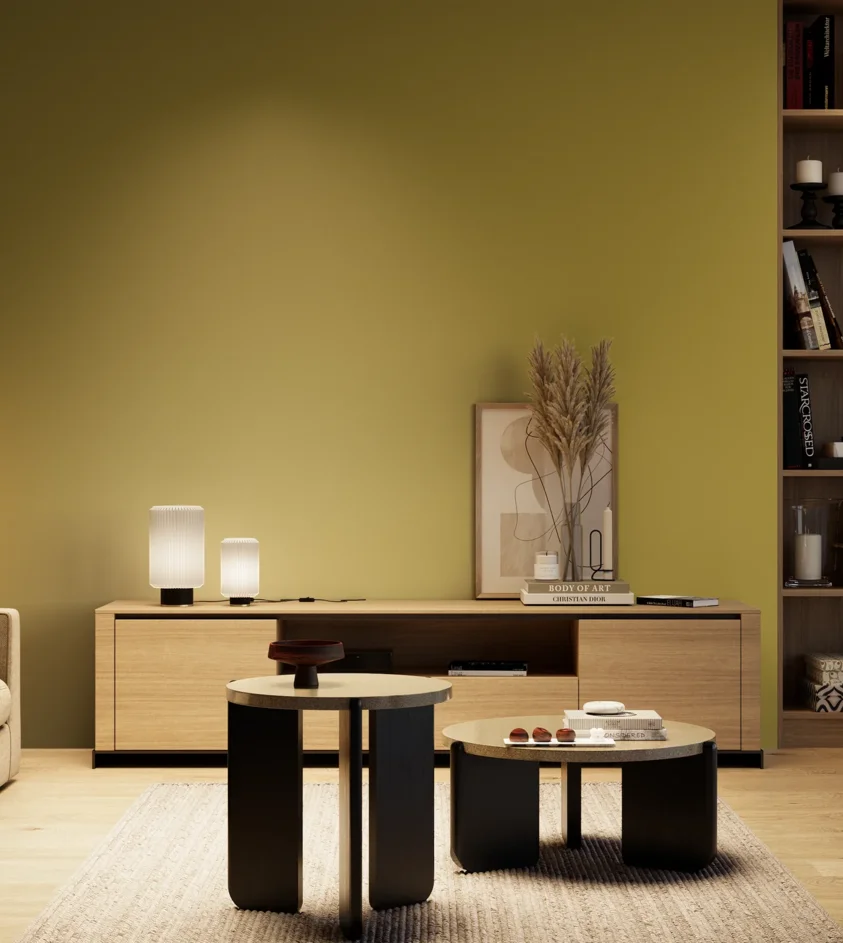 P10_SNIEZKA_salon_04_cieple_GREY_S3050-G90Y