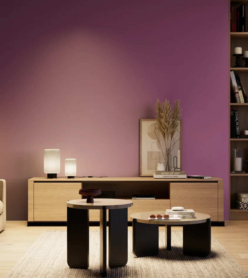 P10_SNIEZKA_salon_04_cieple_GREY_S3050-R40B