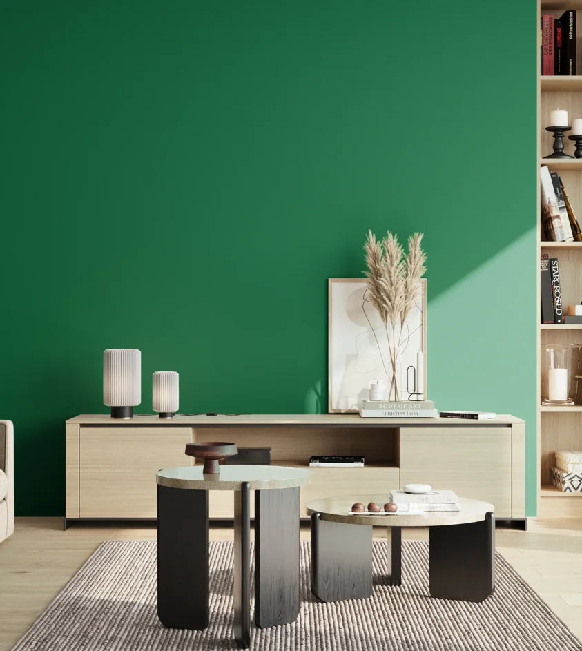 P10_SNIEZKA_salon_02_poludnie_GREY_S3560-G