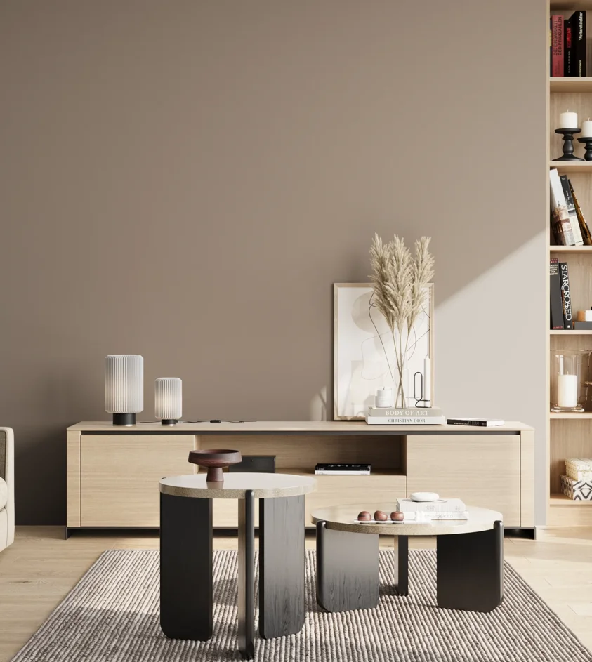 P10_SNIEZKA_salon_02_poludnie_GREY_S4005-Y50R