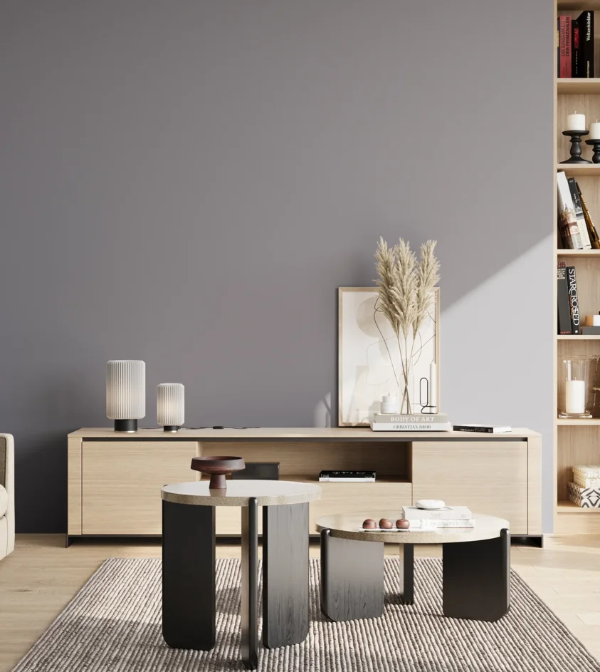 P10_SNIEZKA_salon_02_poludnie_GREY_S4010-R70B