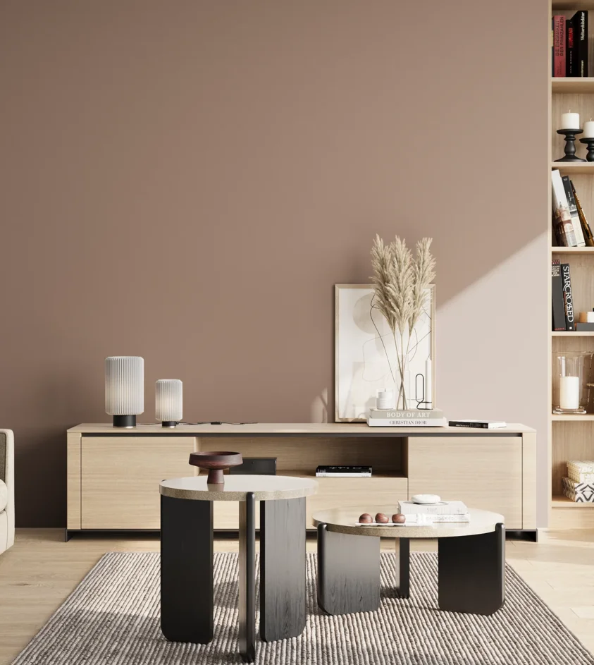 P10_SNIEZKA_salon_02_poludnie_GREY_S4010-Y70R