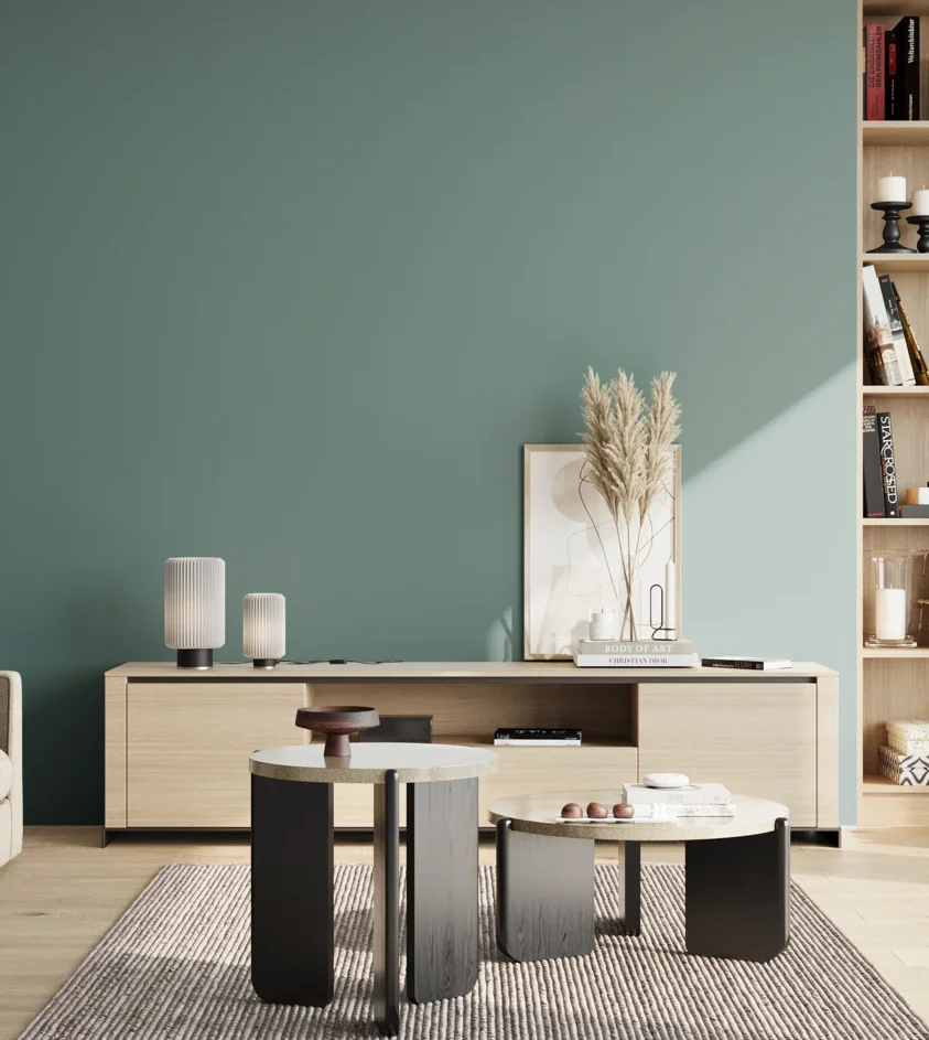 P10_SNIEZKA_salon_02_poludnie_GREY_S4020-B50G