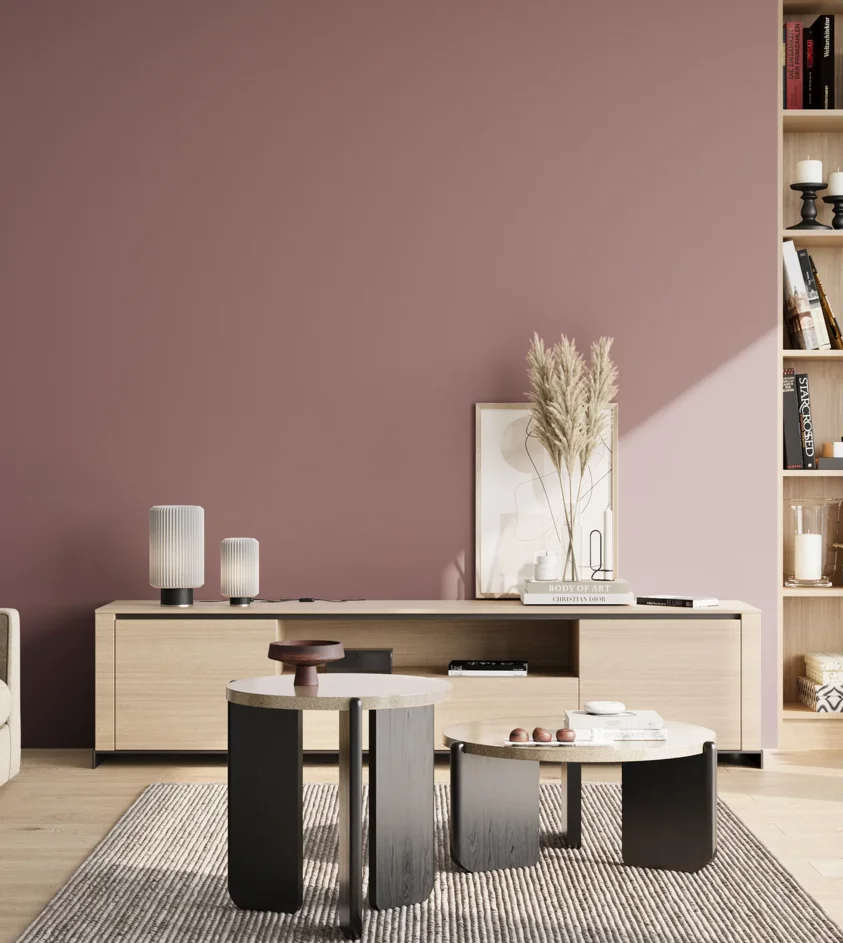 P10_SNIEZKA_salon_02_poludnie_GREY_S4020-R10B