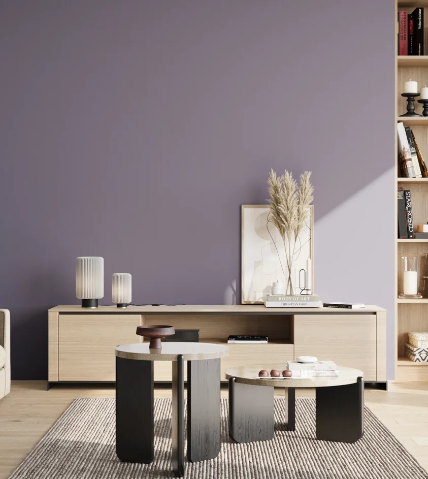 P10_SNIEZKA_salon_02_poludnie_GREY_S4020-R60B