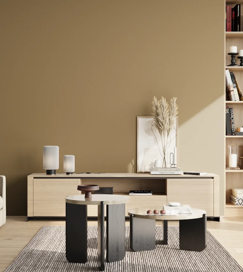 P10_SNIEZKA_salon_02_poludnie_GREY_S4020-Y10R