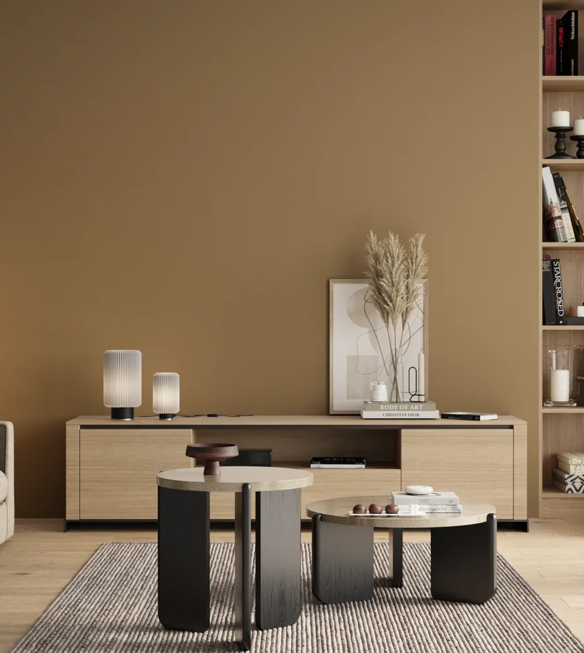 P10_SNIEZKA_salon_00_neutral_GREY_S4020-Y20R