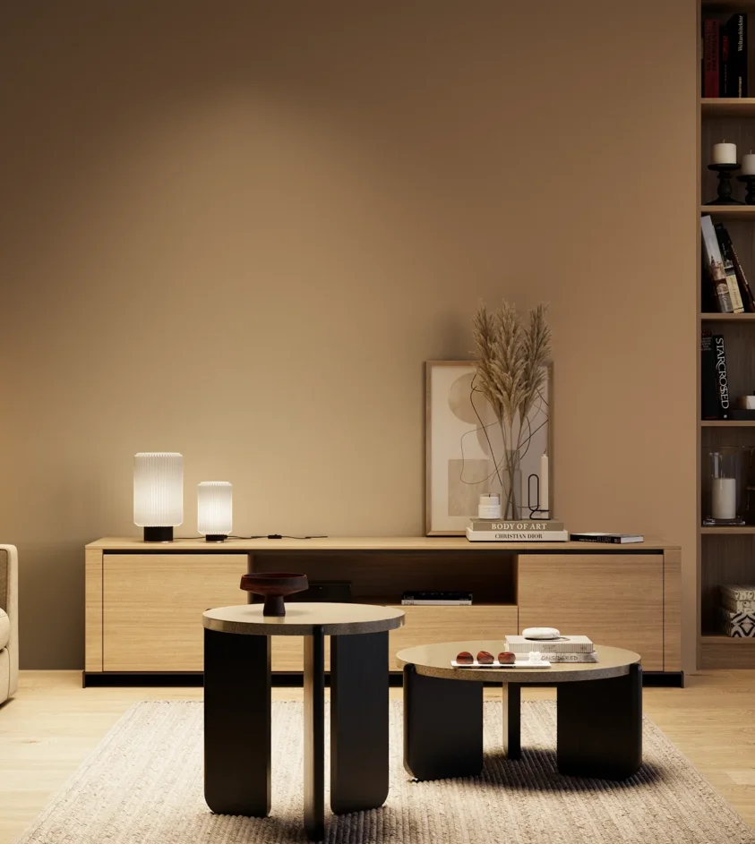 P10_SNIEZKA_salon_04_cieple_GREY_S4020-Y40R