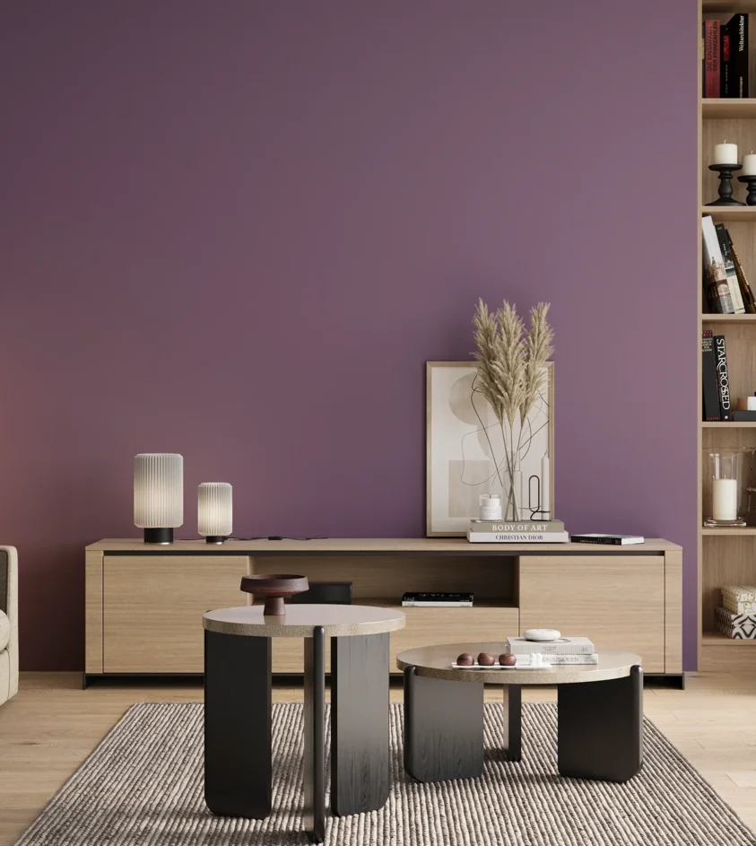 P10_SNIEZKA_salon_00_neutral_GREY_S4030-R50B