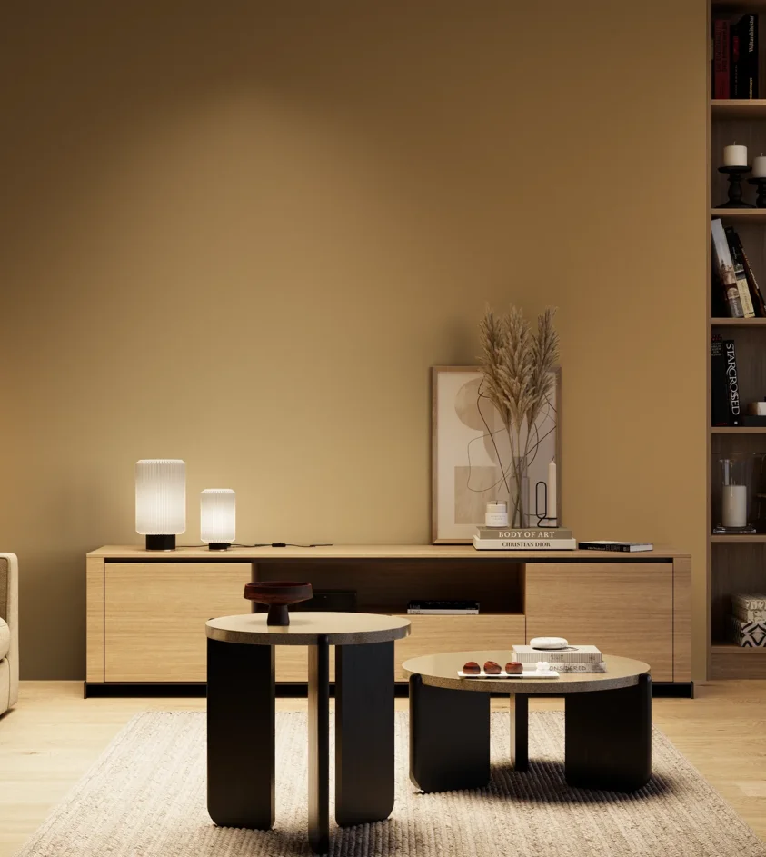 P10_SNIEZKA_salon_04_cieple_GREY_S4030-Y20R
