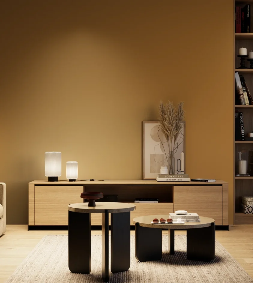 P10_SNIEZKA_salon_04_cieple_GREY_S4050-Y20R