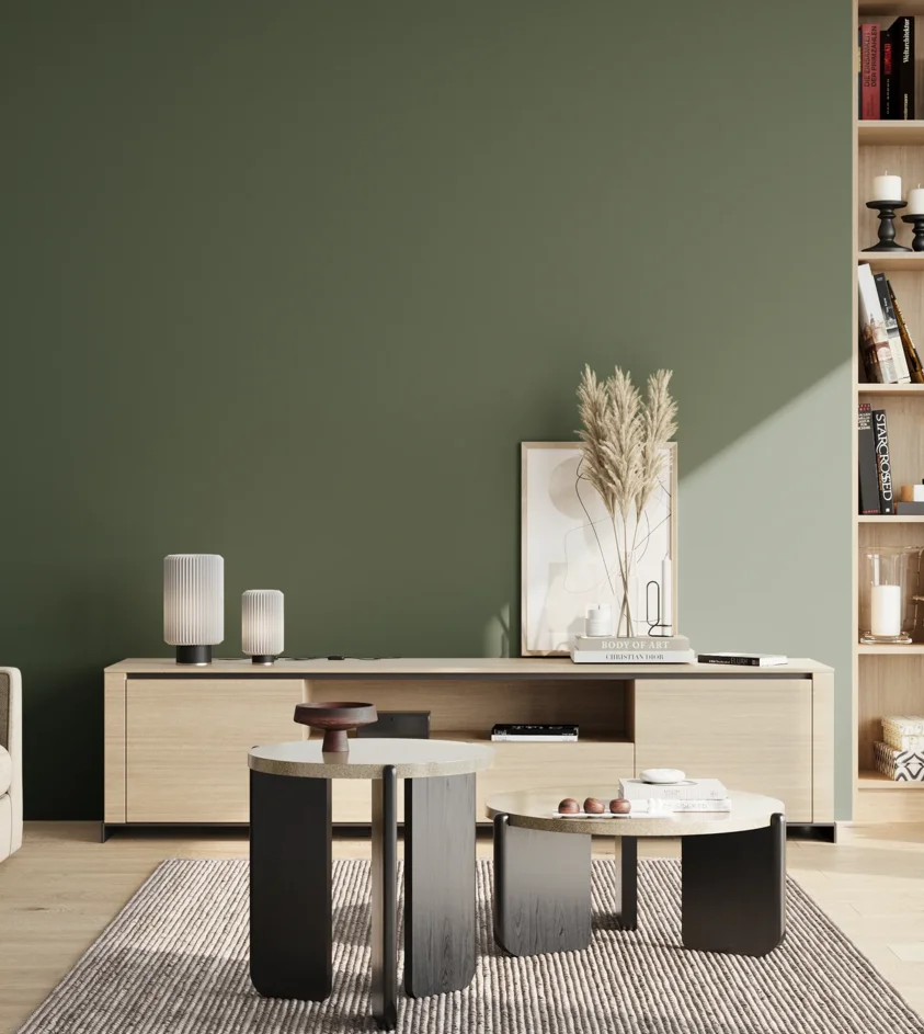 P10_SNIEZKA_salon_02_poludnie_GREY_B26