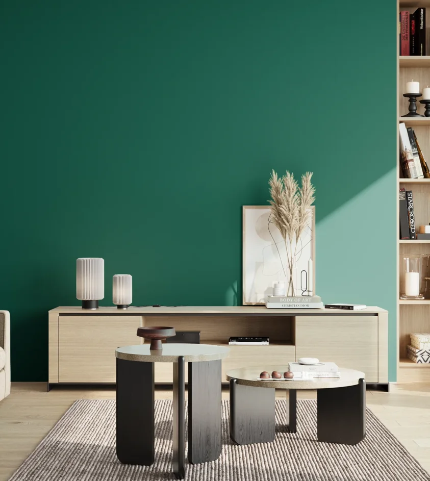 P10_SNIEZKA_salon_02_poludnie_GREY_S4550-B80G
