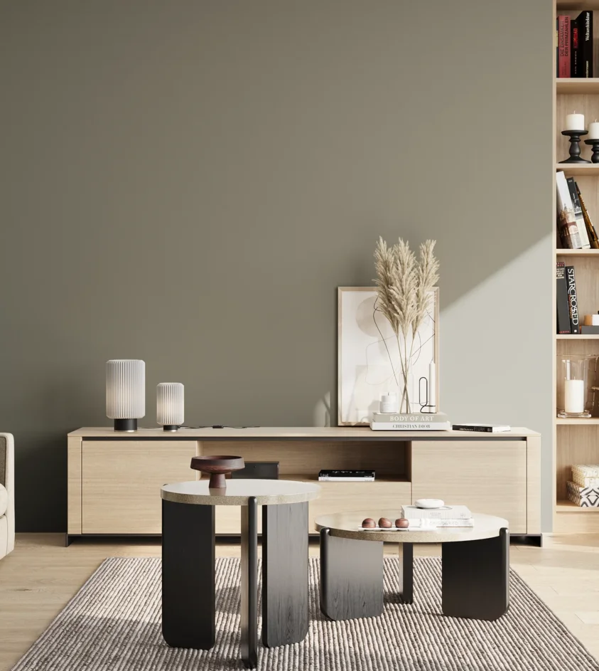 P10_SNIEZKA_salon_02_poludnie_GREY_S5005-G50Y