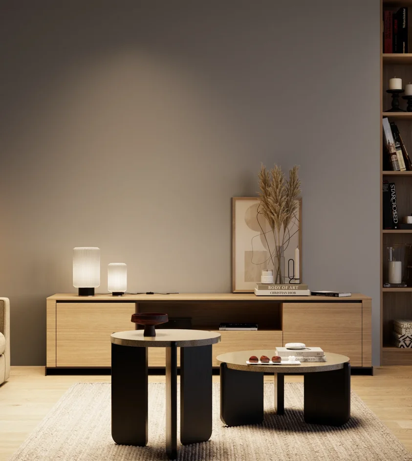 P10_SNIEZKA_salon_04_cieple_GREY_S5005-R50B